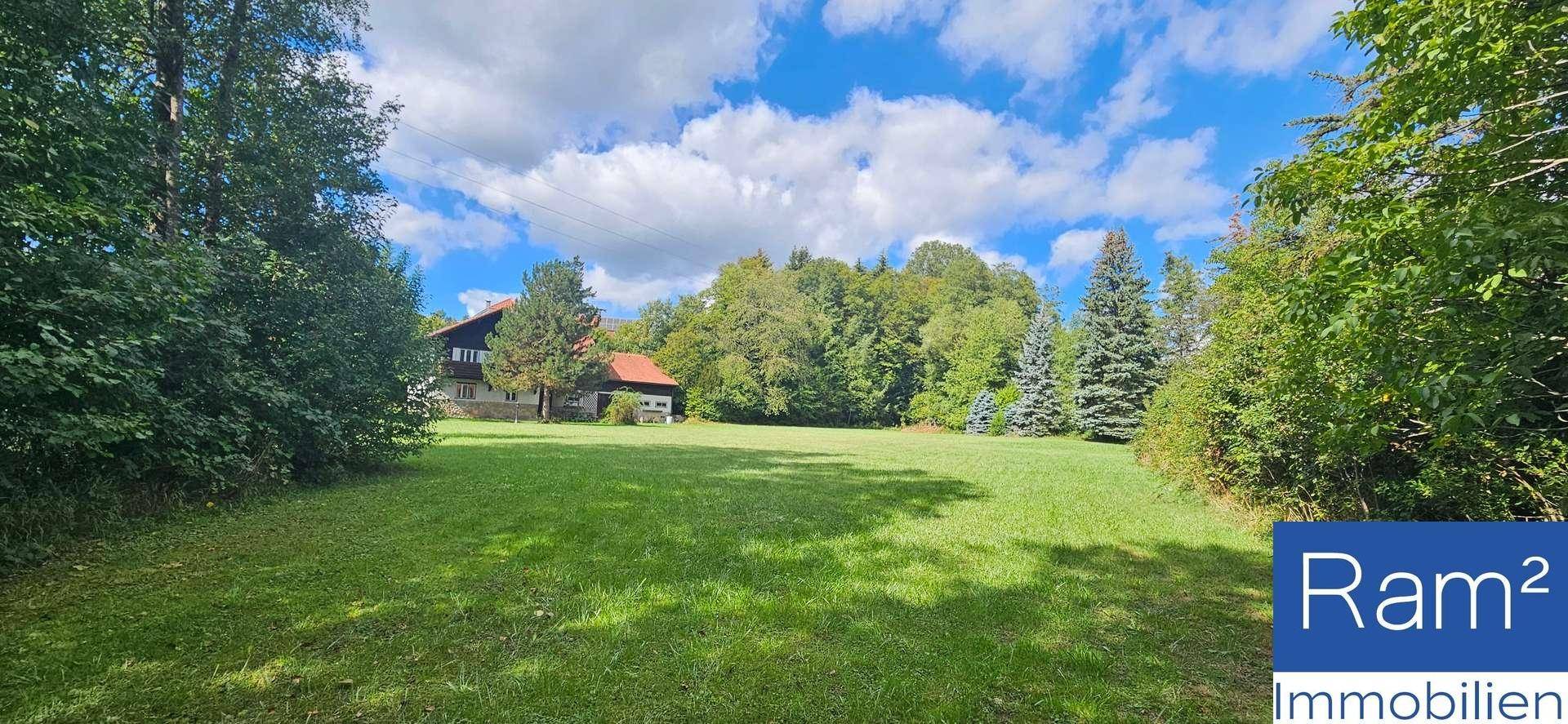 Großes grünes Grundstück mit Bäumen und einem Haus im Hintergrund, umgeben von Natur.