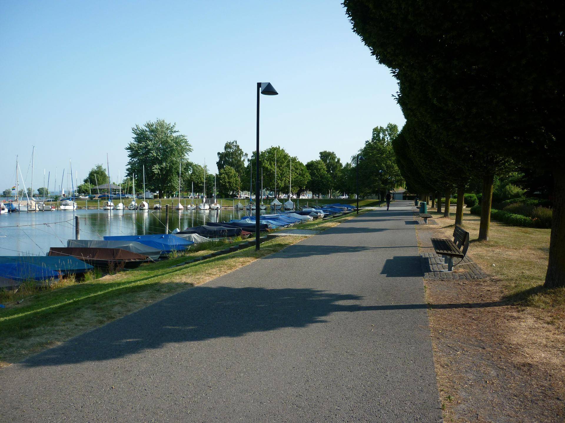 Uferpromenade entlang des Yachthafens mit gepflegten Bäumen und Sitzgelegenheiten.