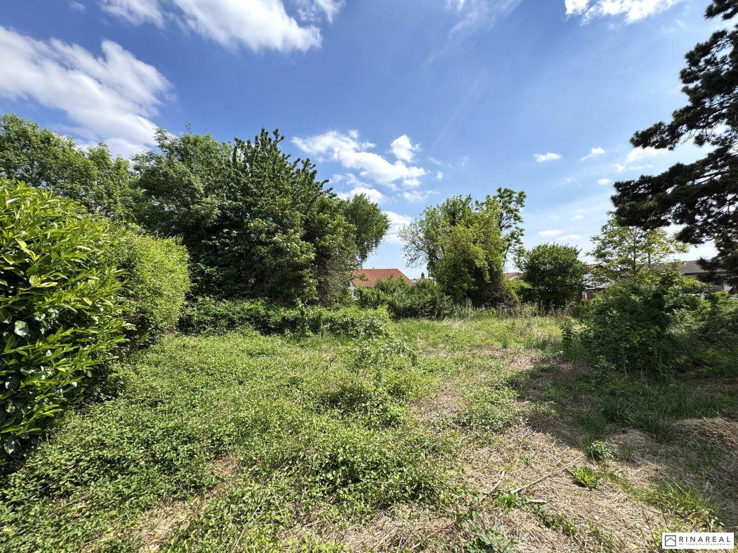 Unbebautes Grundstück | 600 m² | Bauland Wohngebiet – maximal 2 Wohneinheiten | im Herzen von Leopoldsdorf - unweit der Hauptstraße - Ansicht 3