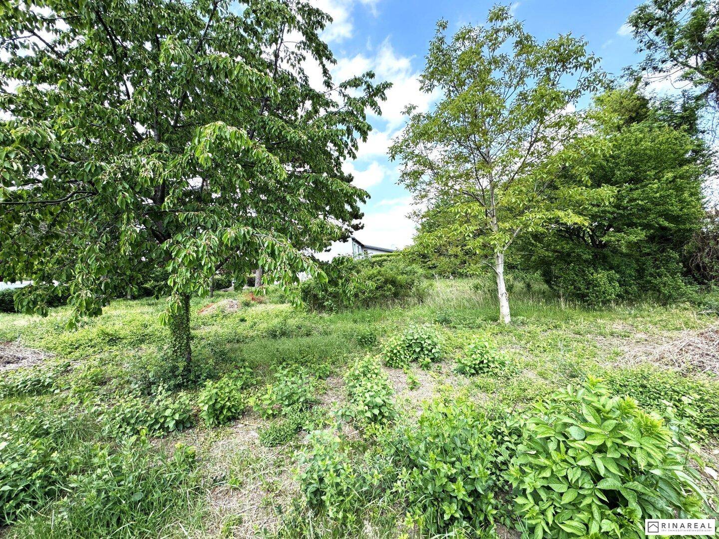 Zwei unbebaute Grundstücke | zusammen ca. 1.201 m² | Bauland Wohngebiet – maximal 2 Wohneinheiten pro GS | im Herzen von Leopoldsdorf - unweit der Hauptstraße - Ansicht 3