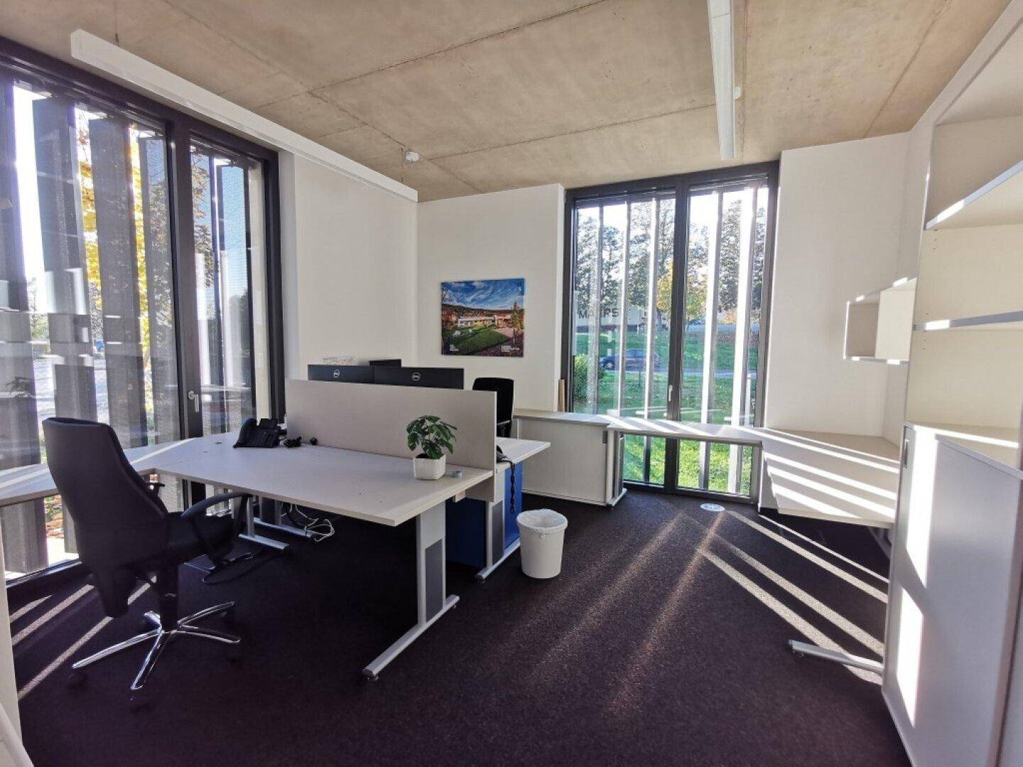 Heller Büroraum mit modernen Schreibtischen, Teppichboden und großen Fenstern mit Lamellen.