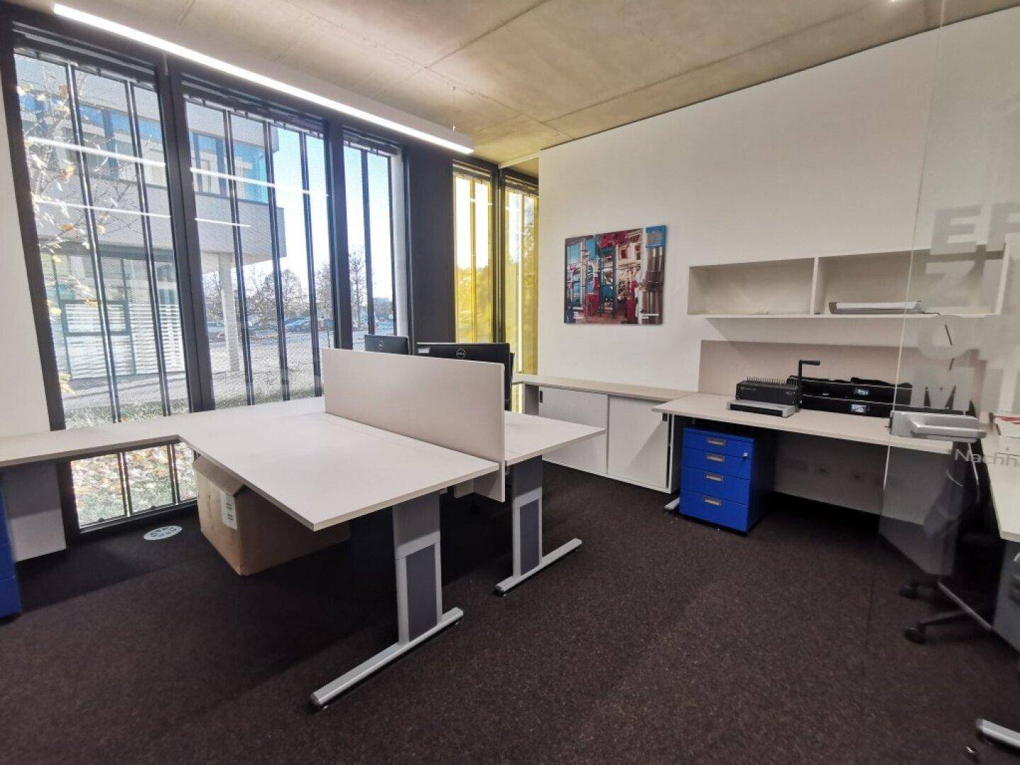 Heller Büroraum mit modernen Arbeitsplätzen, Teppichboden und großen Fenstern mit Außenblick.