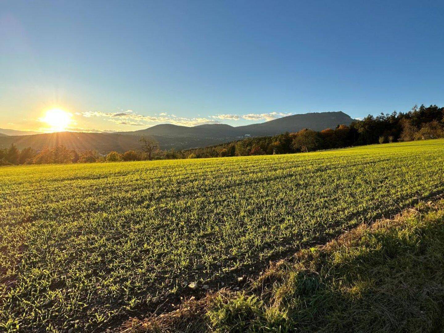 Sonniger Sonnenuntergang über einem Feld mit Bergen im Hintergrund und klarem Himmel.