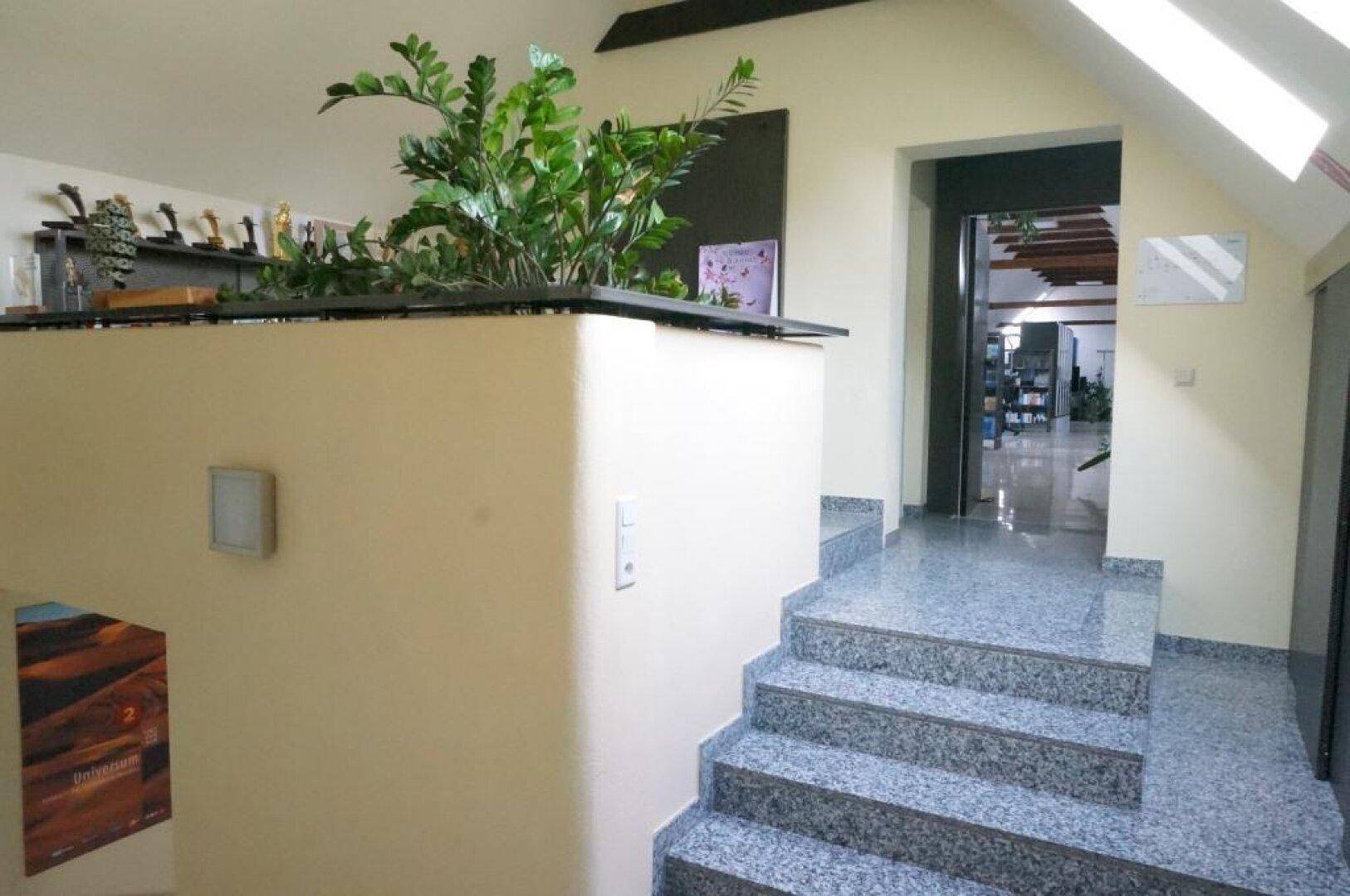 Treppenaufgang mit Granitstufen und einer dekorativen Pflanze auf einer halbhohen Wand, führt zu weiteren Räumen.