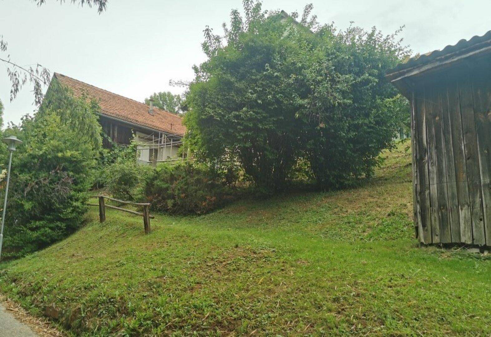 Grüne Hanglage mit Bäumen und Büschen, im Hintergrund ist ein weiteres Gebäude sichtbar.