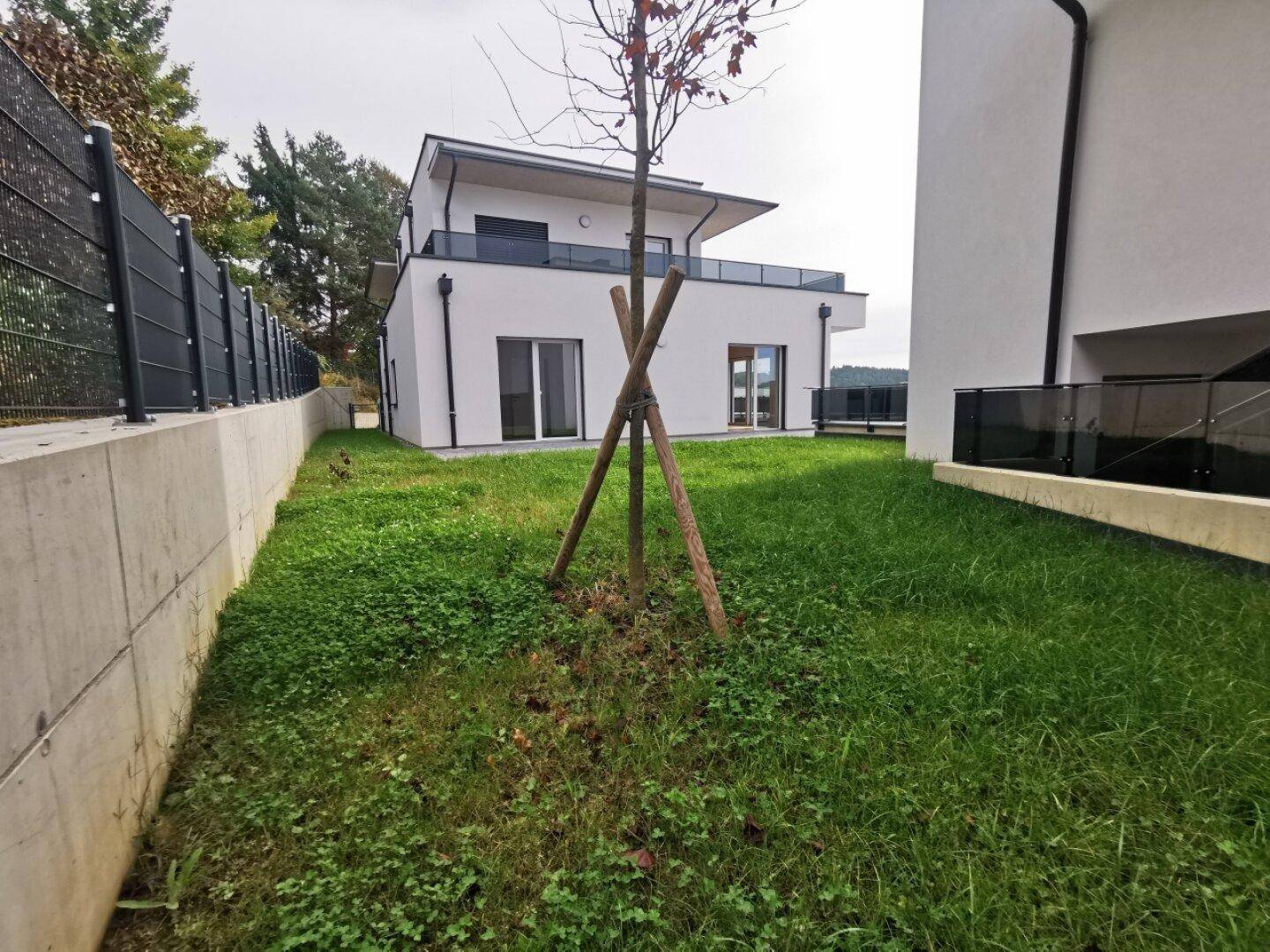 Außenansicht eines Neubaus mit Rasenfläche und jungem Baum im Gartenbereich.