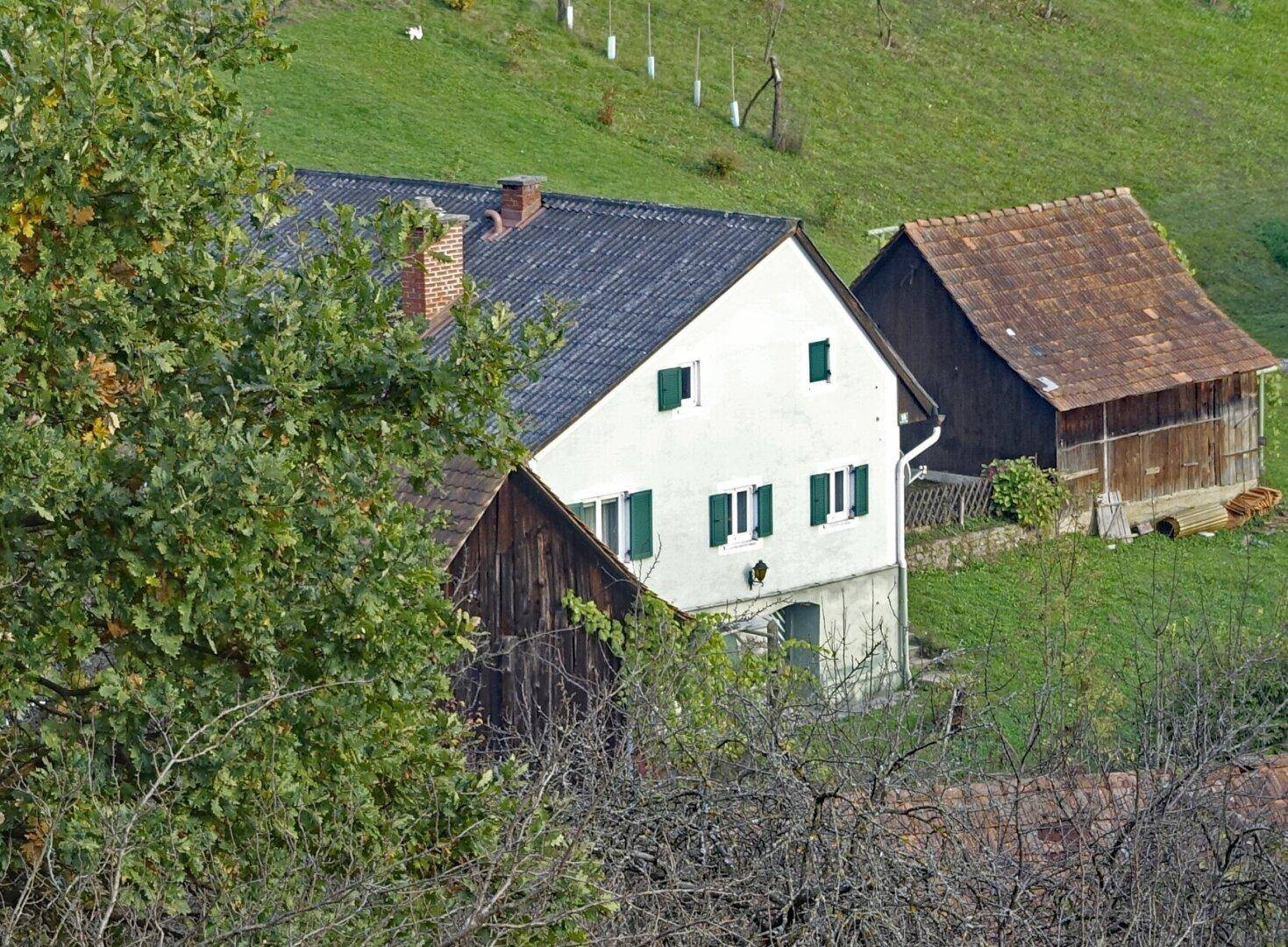 Ansicht eines traditionellen Hauses mit dunklem Dach und grünen Fensterläden, umgeben von Natur.