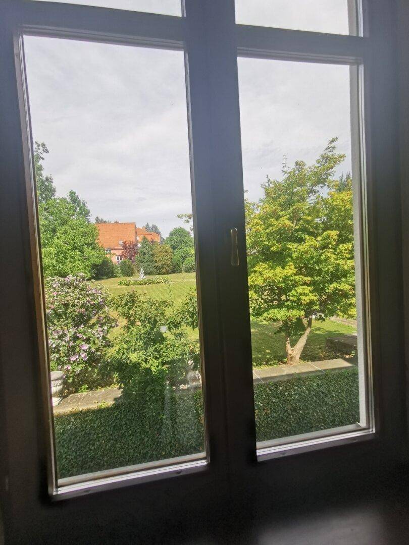 Blick aus dem Fenster auf einen weitläufigen grünen Garten mit Bäumen und einem Haus im Hintergrund.