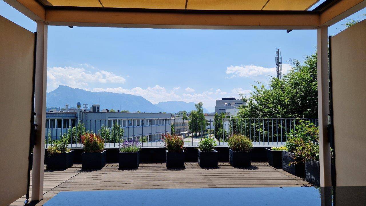 Sonniger Blick von der Dachterrasse auf die Stadt und die Berge, umgeben von Pflanzen.