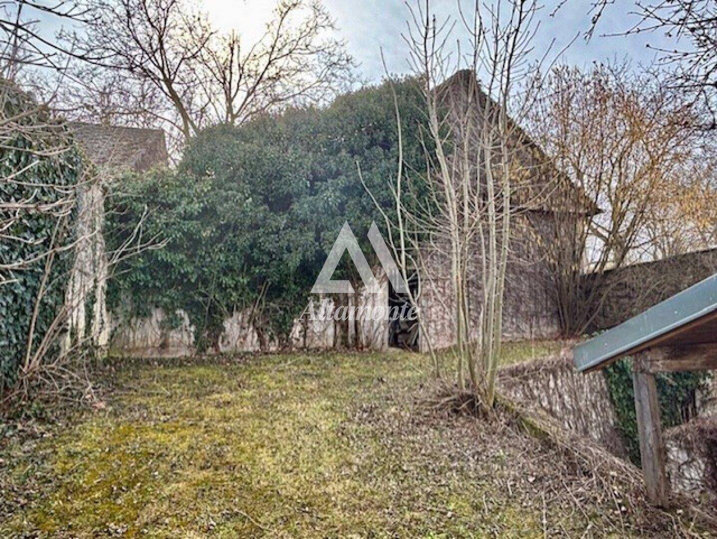 Verwilderter Gartenbereich mit alten Bäumen und üppigem Grün hinter dem Gebäude.