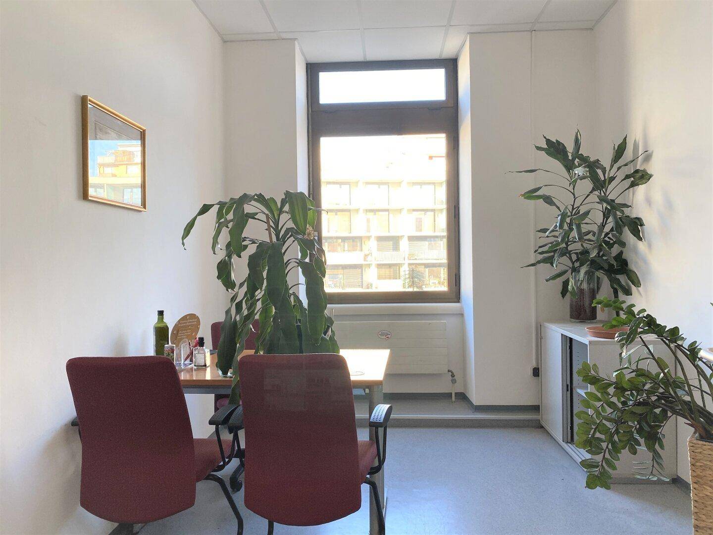 Kleineres Büro oder Besprechungsraum mit Pflanzen, Tisch und einem Fenster mit Blick nach draußen.