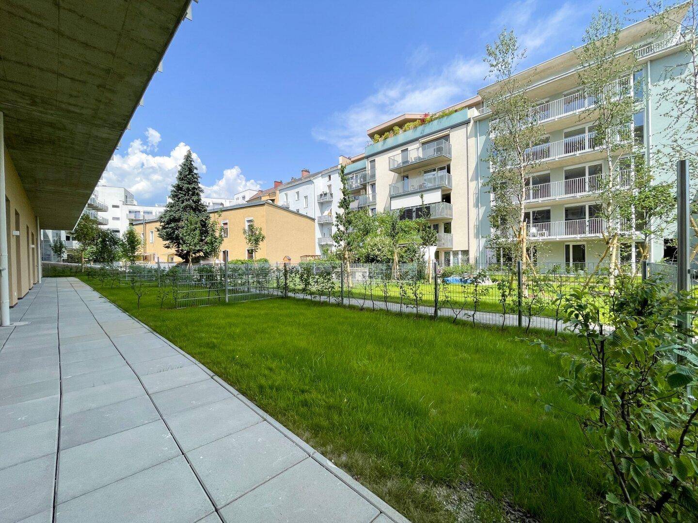 Grüne Außenanlage eines modernen Wohnkomplexes mit Rasenflächen und Bäumen.