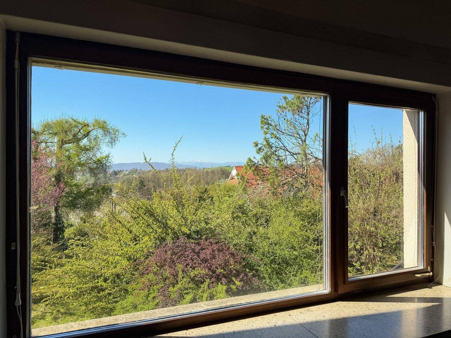 Weitblick aus dem Fenster über grüne Landschaft und entfernte Berge.