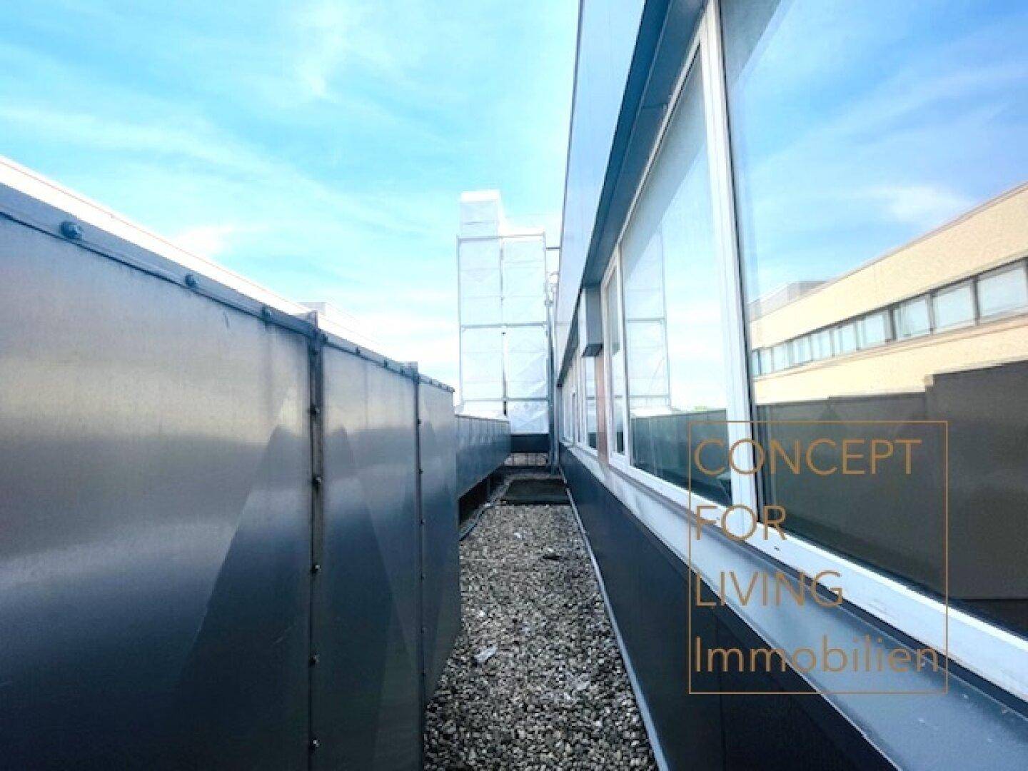 Slide 8