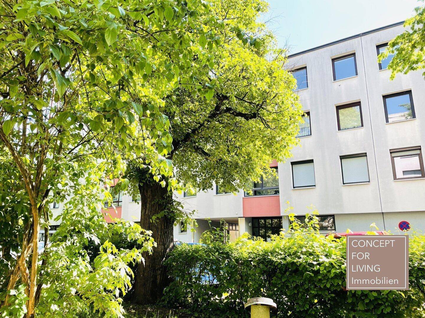 Wohngebäude umgeben von üppigem Grün, Bäumen und einer gepflegten Hecke.