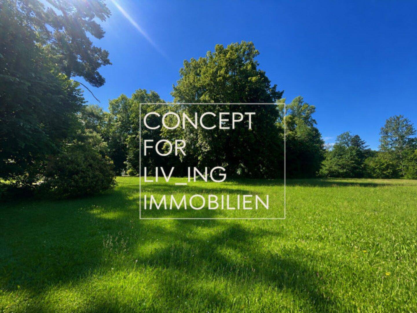 Weitläufige grüne Wiesenlandschaft mit großen, alten Bäumen unter strahlend blauem Himmel.