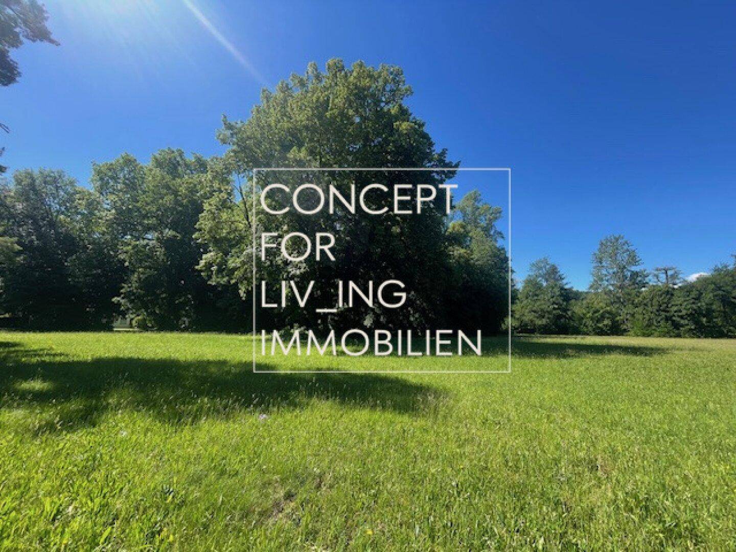 Weitläufige grüne Wiesenlandschaft mit großen, alten Bäumen unter strahlend blauem Himmel.