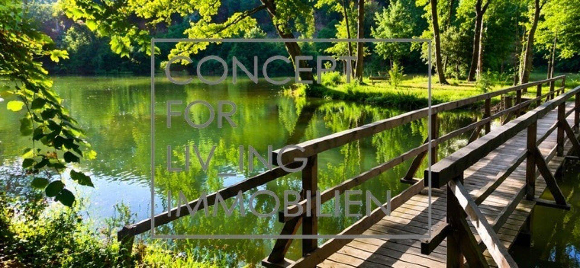 Idyllische Holzbrücke über einen ruhigen Teich, umgeben von dichtem, grünem Baumbestand.