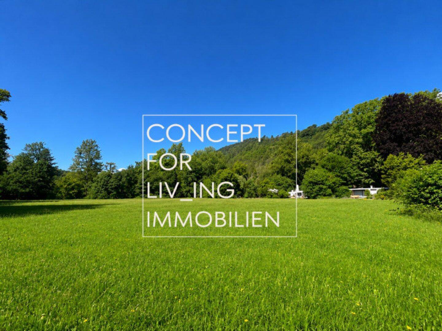 Weitläufige grüne Wiesenlandschaft mit Bäumen und Hügeln im Hintergrund unter blauem Himmel.