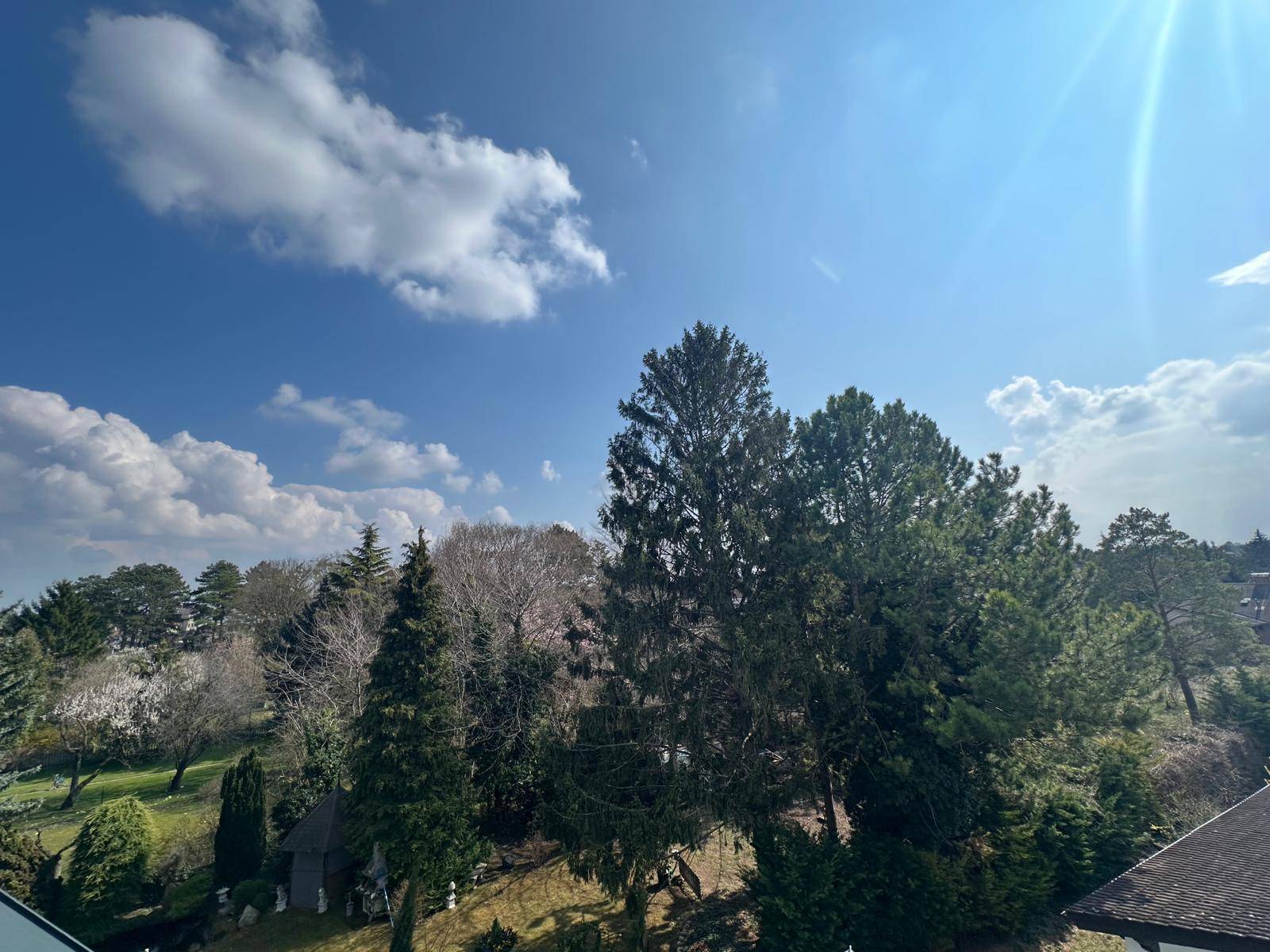 Weitläufiger Blick ins Grüne mit vielen Bäumen unter einem blauen Himmel mit Wolken.