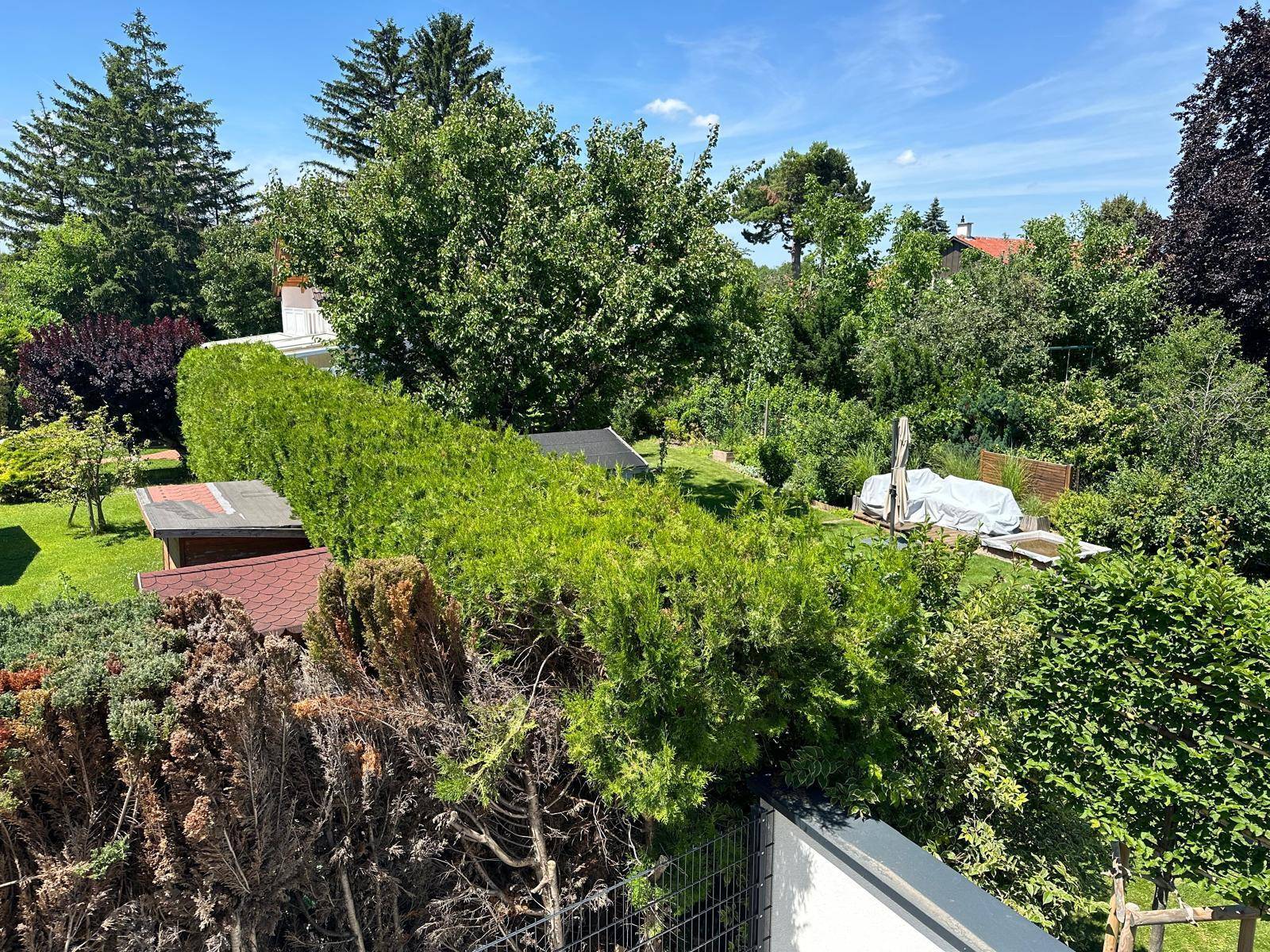 Blick auf einen gepflegten Gartenbereich mit hohen Hecken und Bäumen.