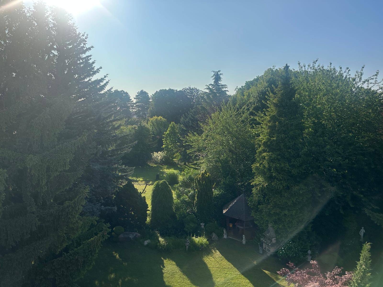 Sonniger, weitläufiger Garten mit altem Baumbestand und einem kleinen Gartenhaus im Hintergrund.