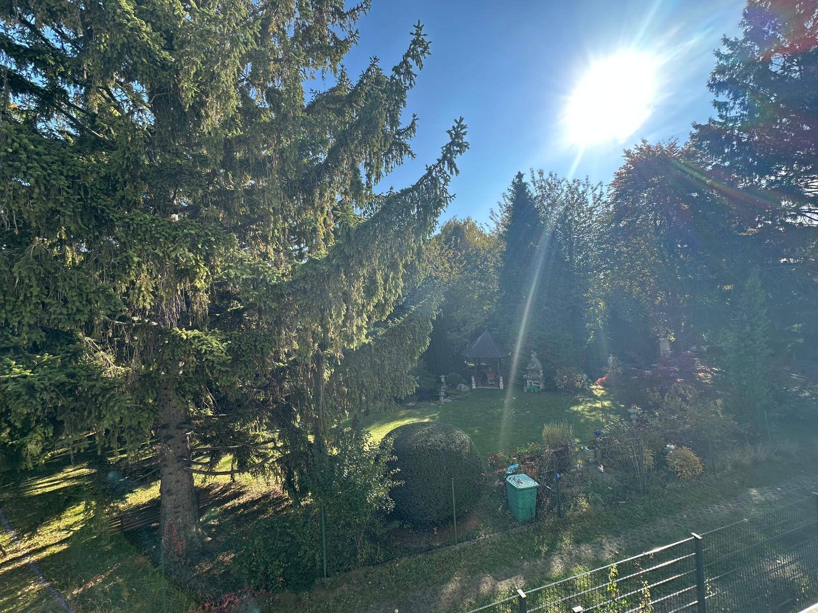 Sonniger Blick ins Grüne mit hohen Bäumen und einem gepflegten Gartenbereich.