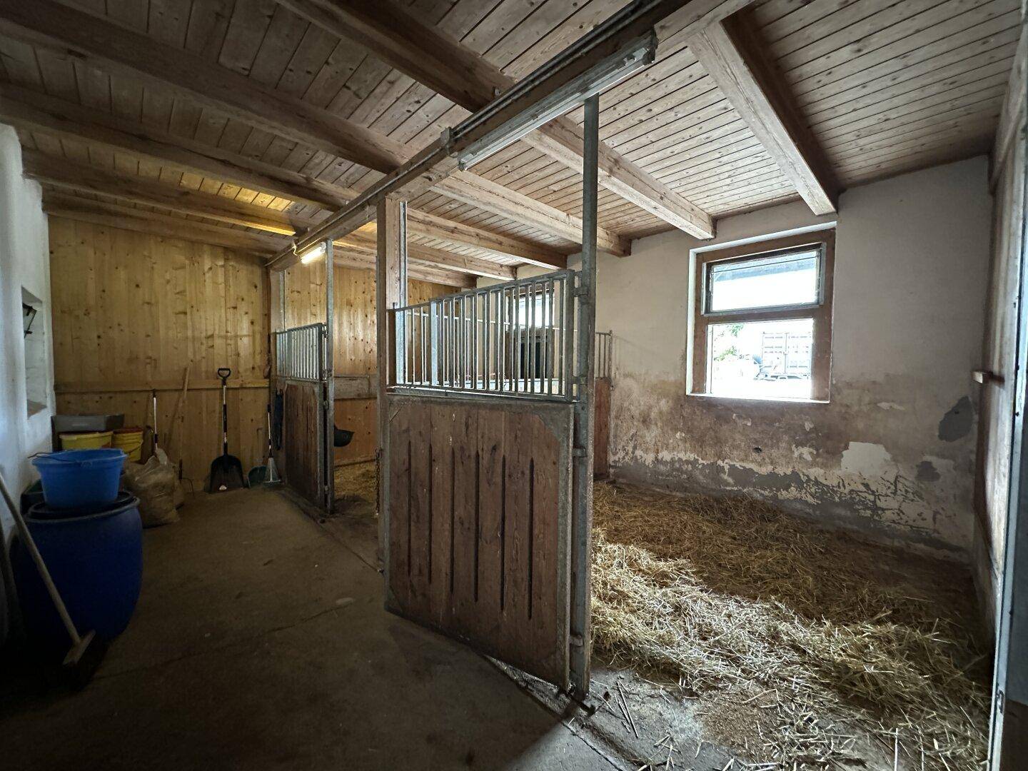 Pferdeställe in einem Stallgebäude mit Holzverkleidung und Stroh auf dem Boden.