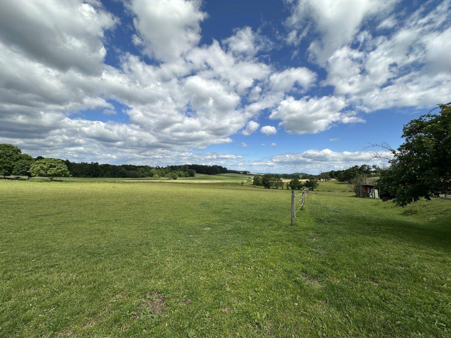 Weitläufige grüne Wiesenlandschaft unter einem weiten blauen Himmel mit Wolken.