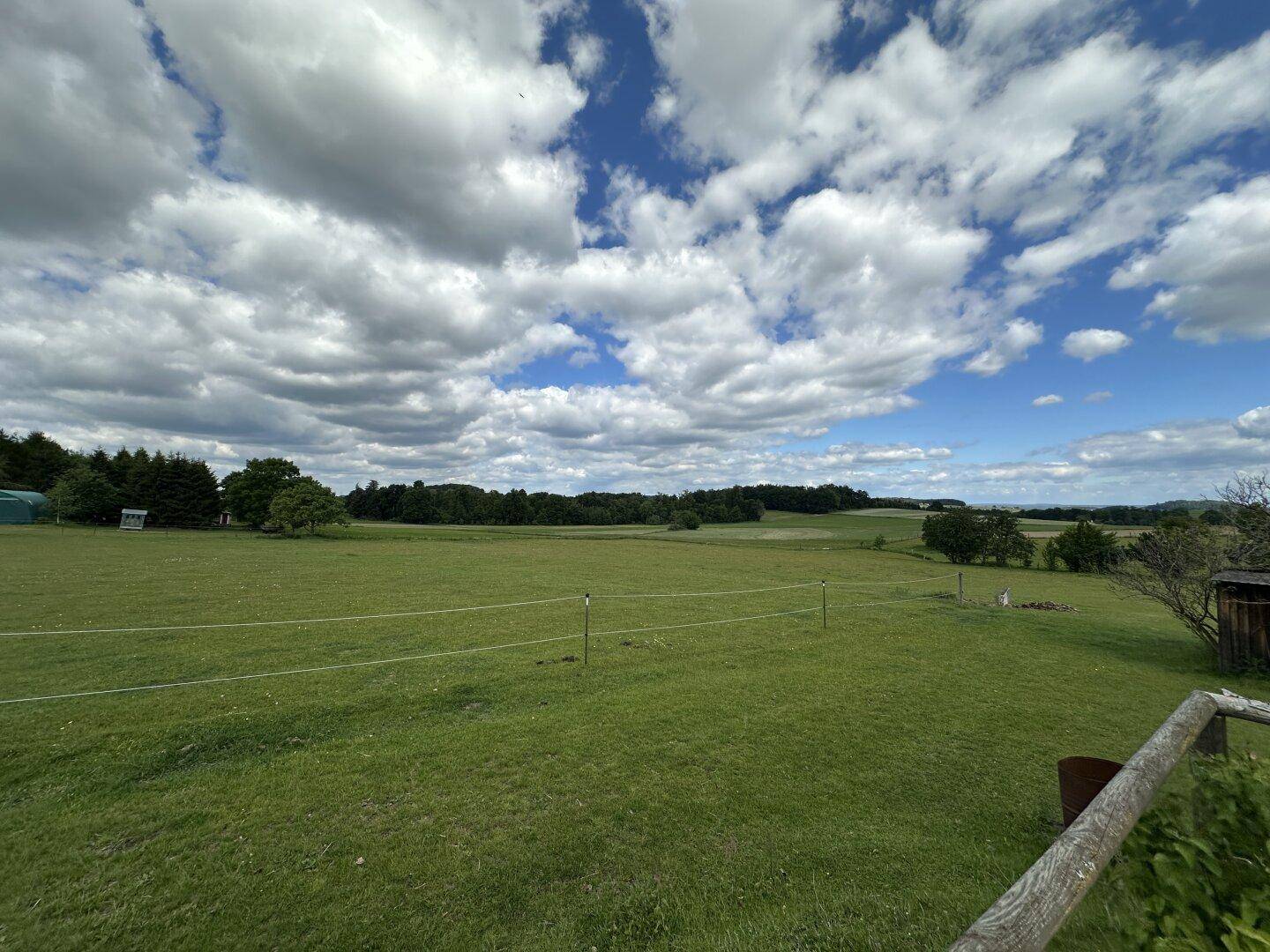 Ausgedehnte grüne Felder und Wälder unter einem strahlend blauen Himmel.