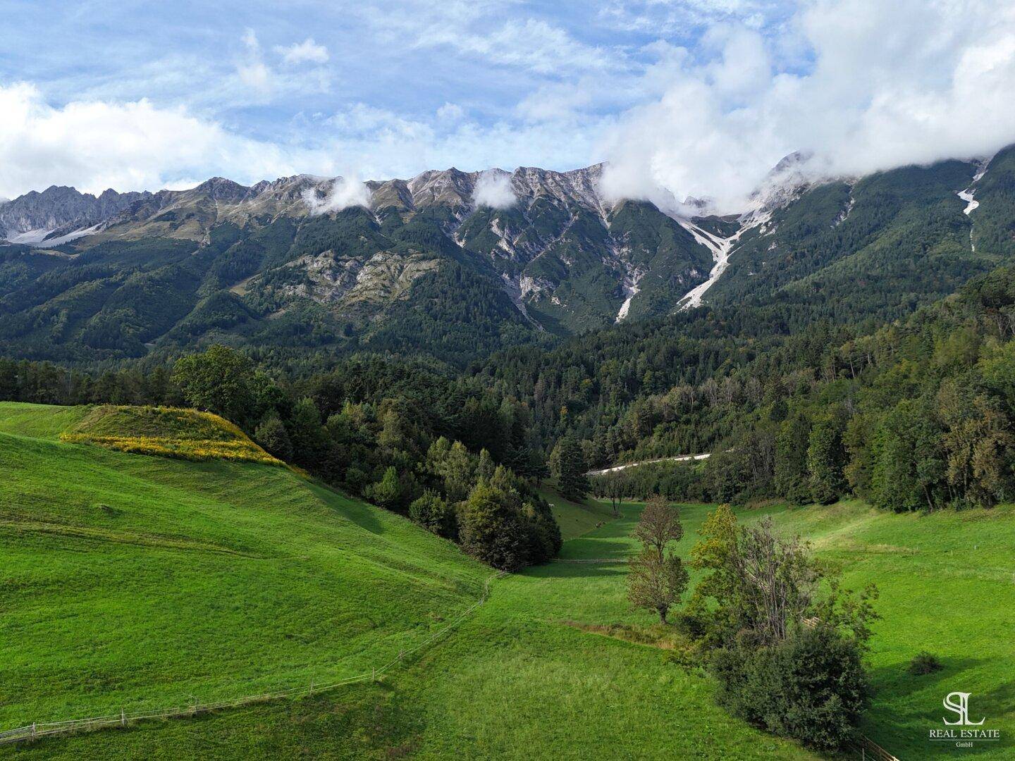 Majestätische Berglandschaft mit weiten grünen Wiesen und bewaldeten Hängen unter bewölktem Himmel.