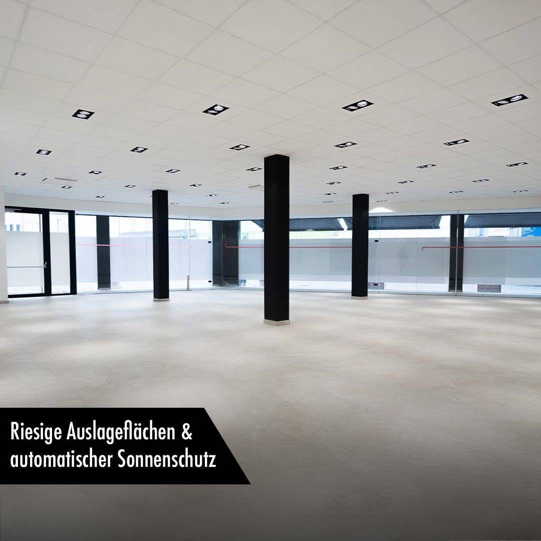 Geräumige Gewerbefläche mit hohen Decken, großen Fenstern und moderner Beleuchtung.