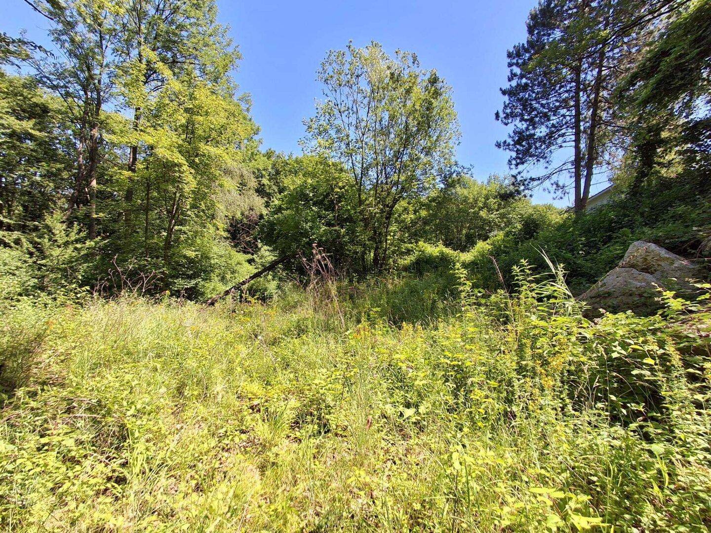 2 Baugrundstücke im Augustinerwald – Privatsphäre ohne direktes Gegenüber - Ansicht 2