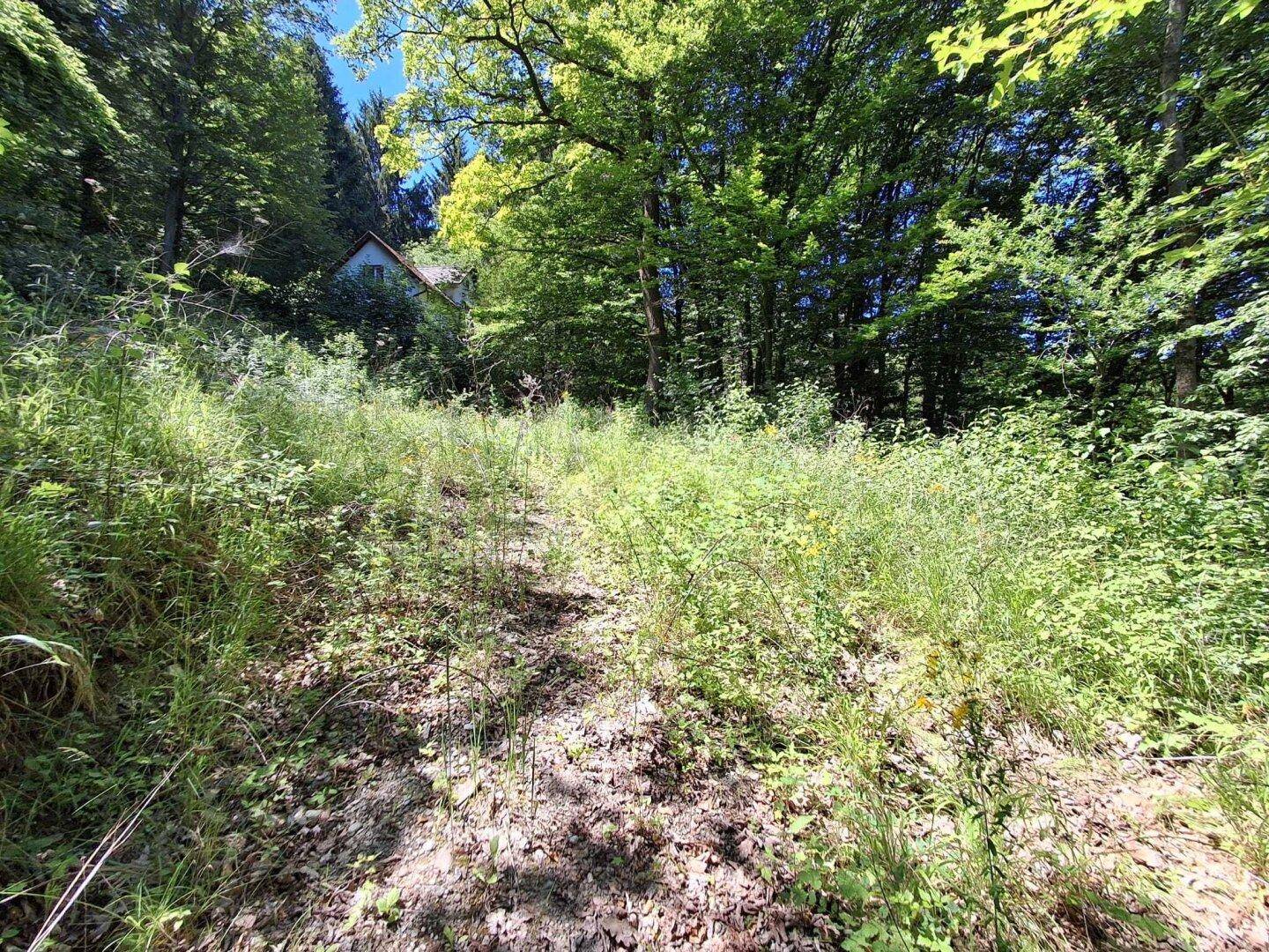 2 Baugrundstücke im Augustinerwald – Privatsphäre ohne direktes Gegenüber - Ansicht 3