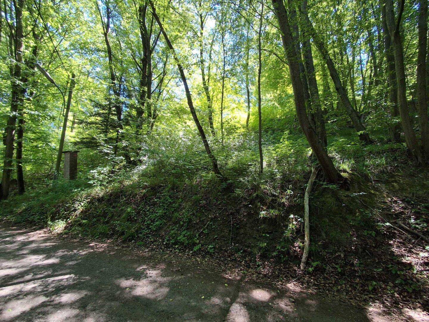 2 Baugrundstücke im Augustinerwald – Privatsphäre ohne direktes Gegenüber - Ansicht 5