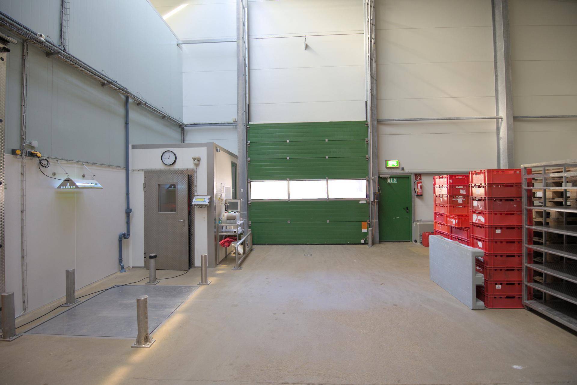 Geräumige Lagerhalle mit hoher Decke, grünem Rolltor und Zugang zu weiteren Produktionsbereichen.