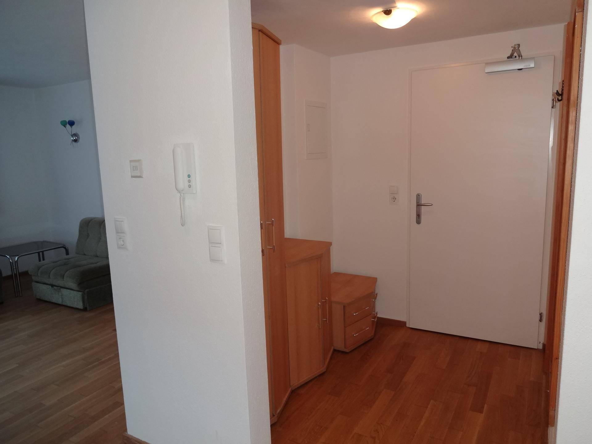 Eingangsbereich mit Holzboden und Garderobenschrank, führt in den Wohnbereich.