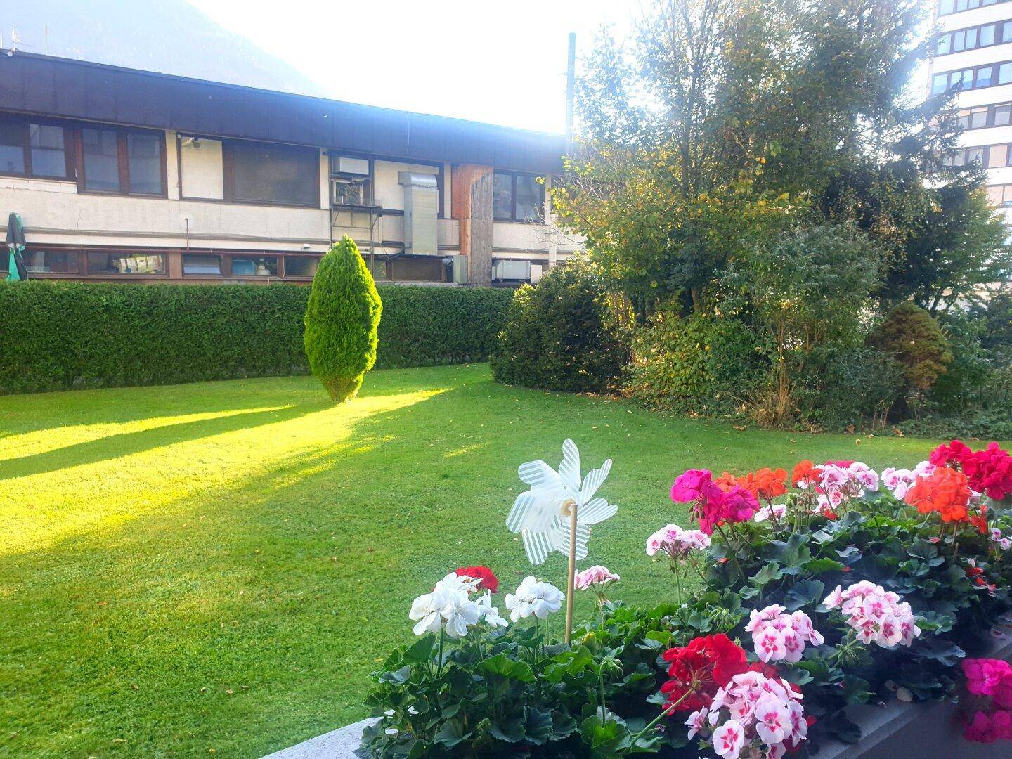 Ausblick vom Balkon in den Gemeinschaftsgarten