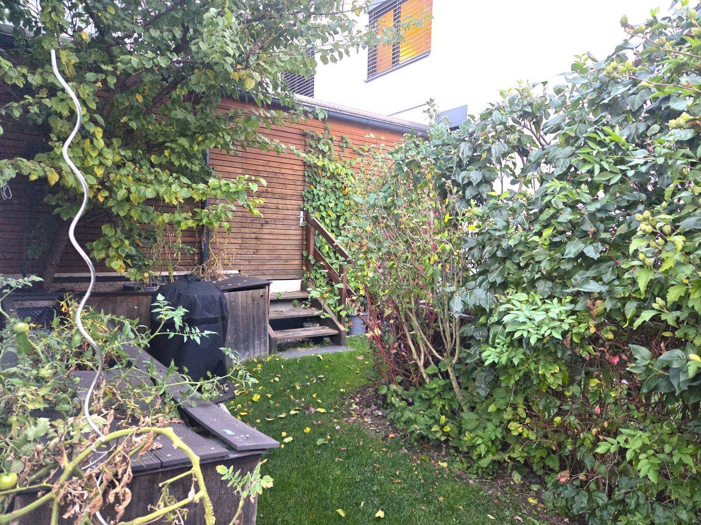 Grüner Gartenbereich mit üppiger Bepflanzung und einem Holzschuppen im Hintergrund.