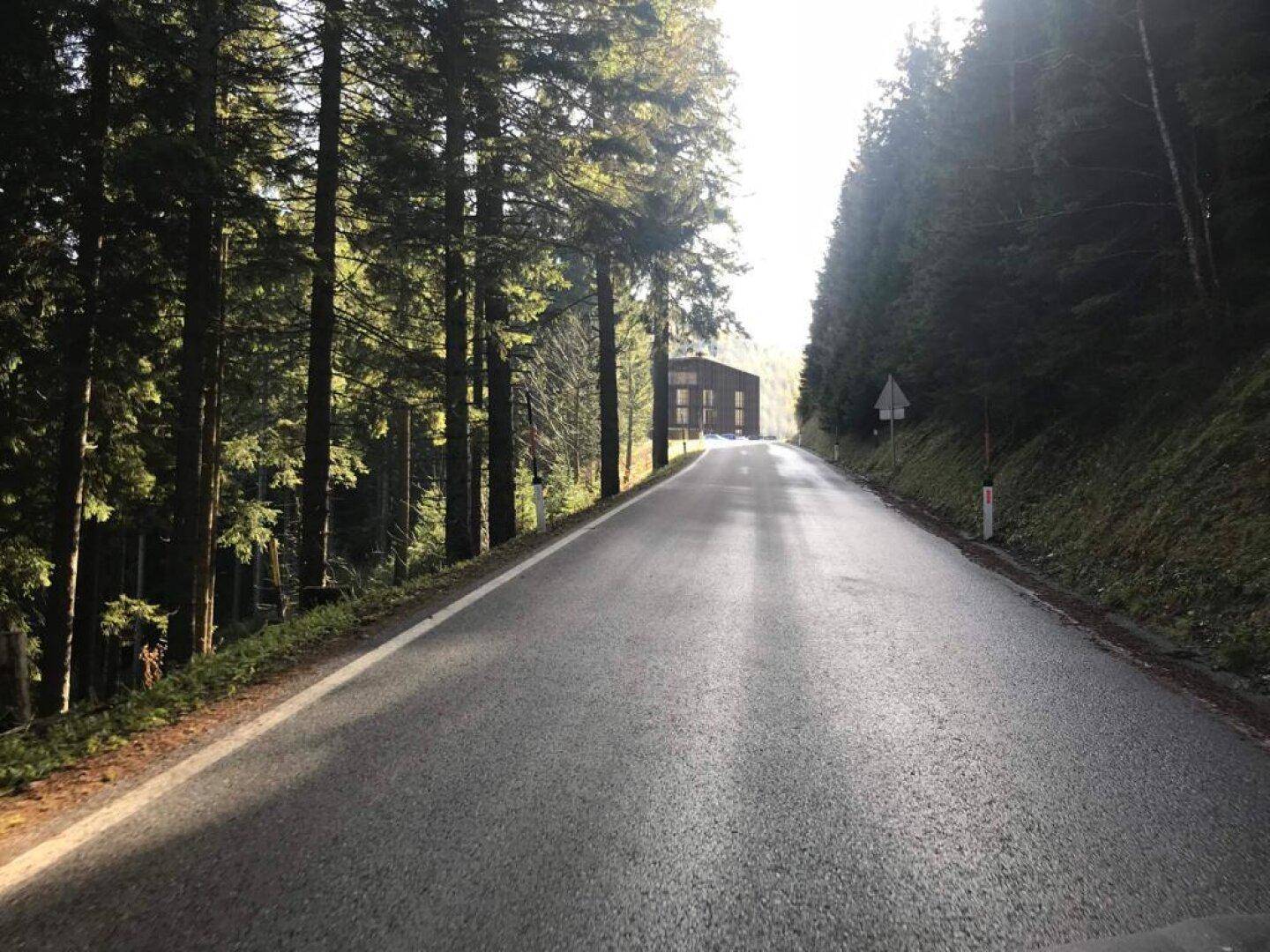 Lange Straße führt durch dichten Wald zu einem modernen Gebäude in der Ferne.