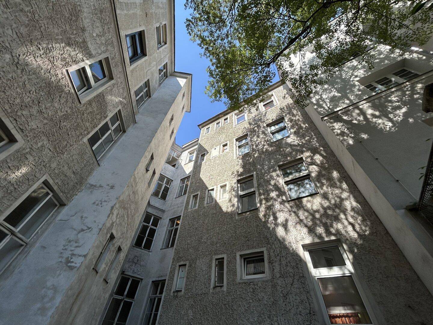 Blick in den Innenhof eines Altbaus mit vielen Fenstern und schattenspendenden Bäumen.