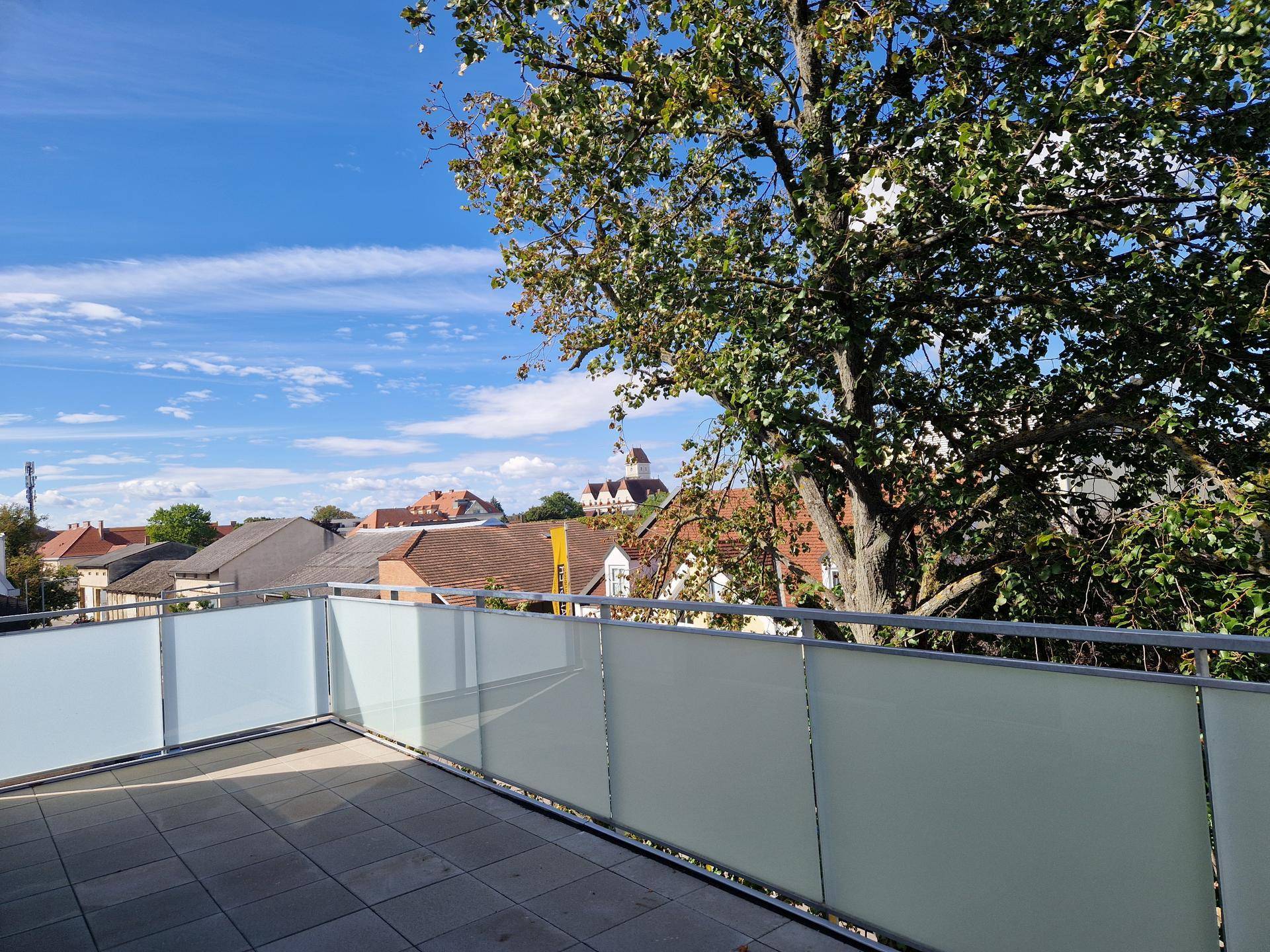 Blick von der Terrasse über die Dächer der Nachbarschaft mit viel Grün und blauem Himmel.
