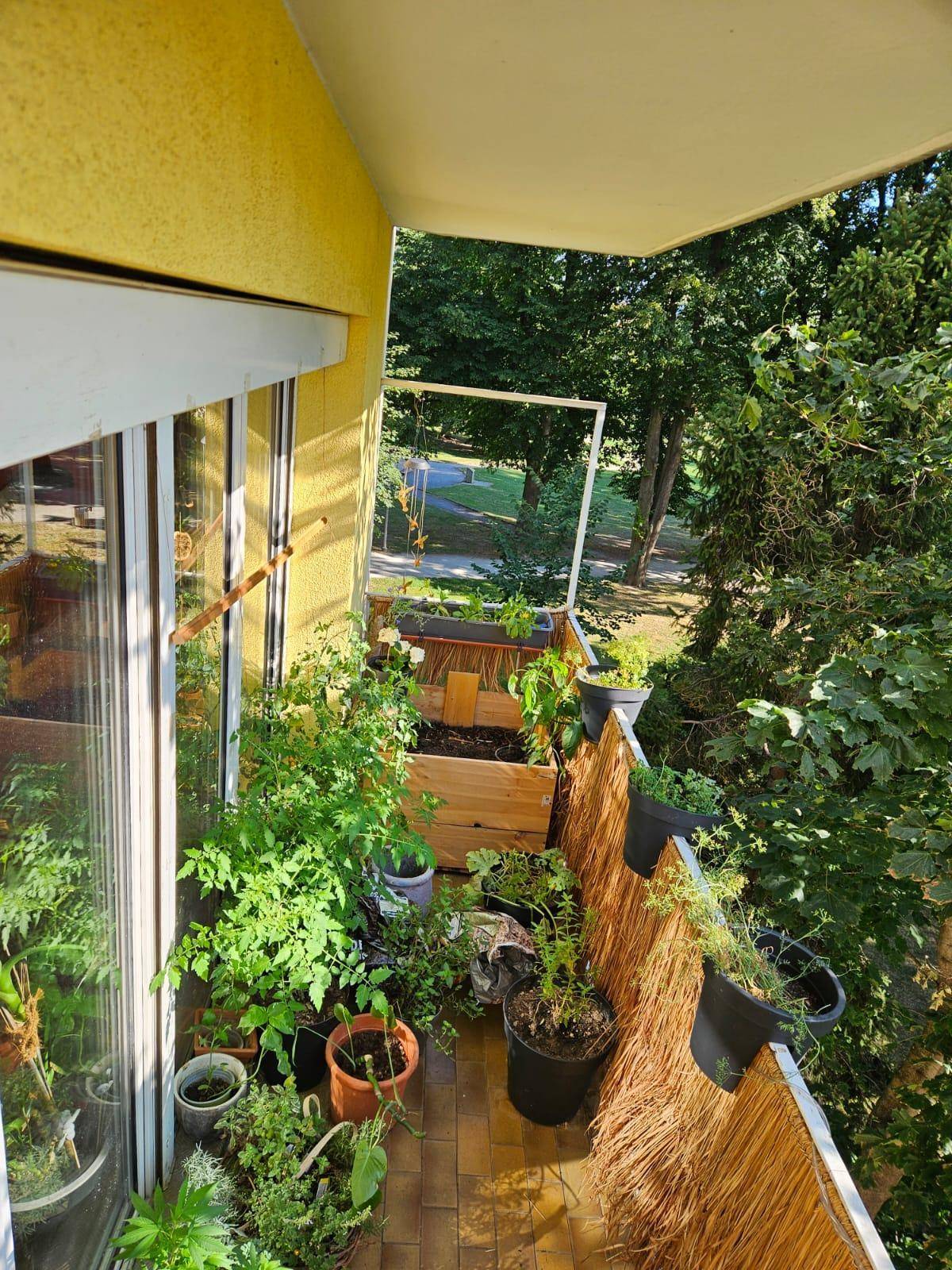 Grüner Balkon mit vielen Pflanzen und Blick auf Bäume und Park.