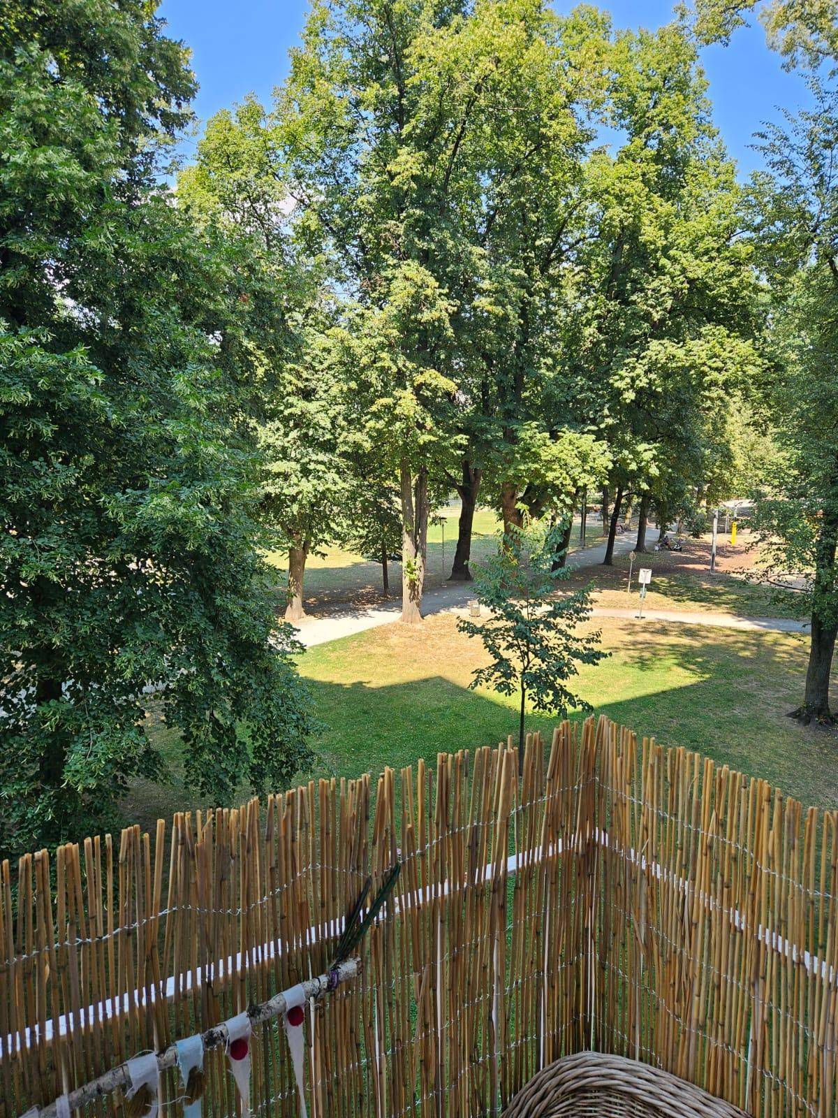 Weitläufiger Blick vom Balkon auf eine grüne Parkanlage mit hohen Bäumen.