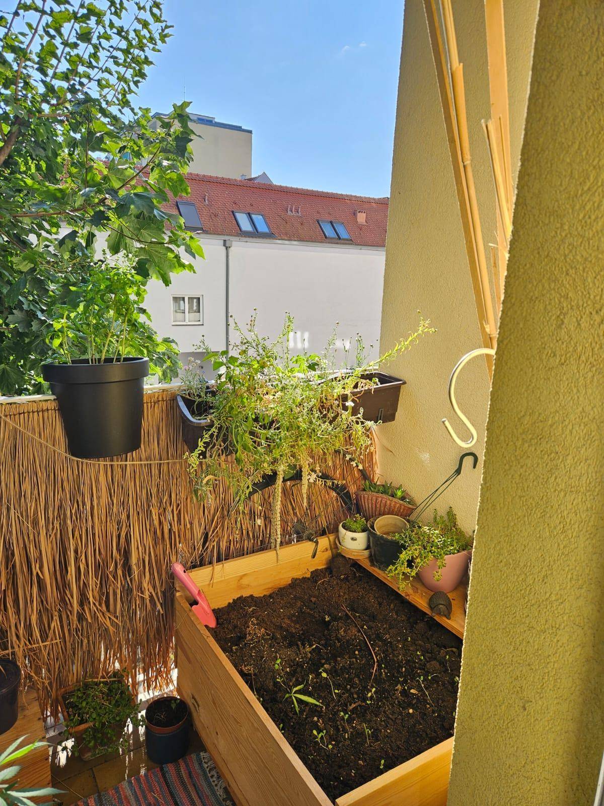 Balkon mit Hochbeet und Pflanzen, umgeben von viel Grün und Blick auf Dächer.