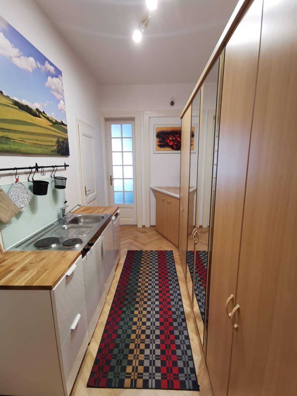 Kleine Küchenzeile mit Holz-Arbeitsplatte und integrierten Kochfeldern in einem Flurbereich.