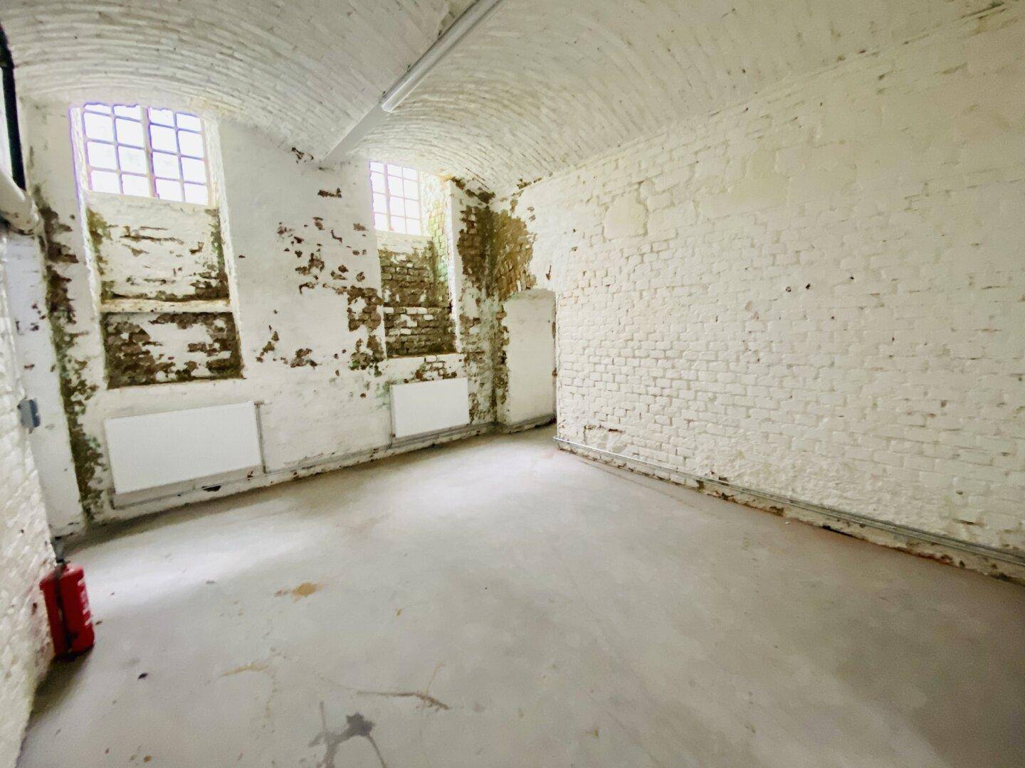 Kellerraum mit sichtbaren Ziegelwänden, gewölbter Decke und Anzeichen von Feuchtigkeitsschäden.