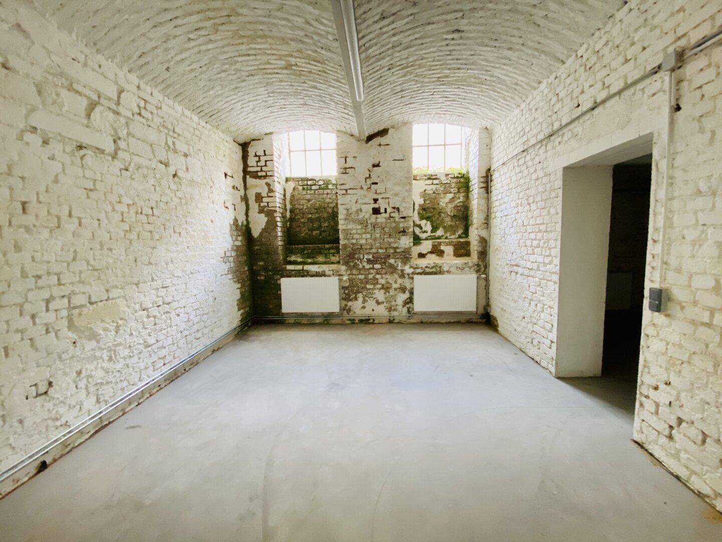 Kellerraum mit sichtbaren Ziegelwänden, gewölbter Decke und Anzeichen von Feuchtigkeitsschäden.