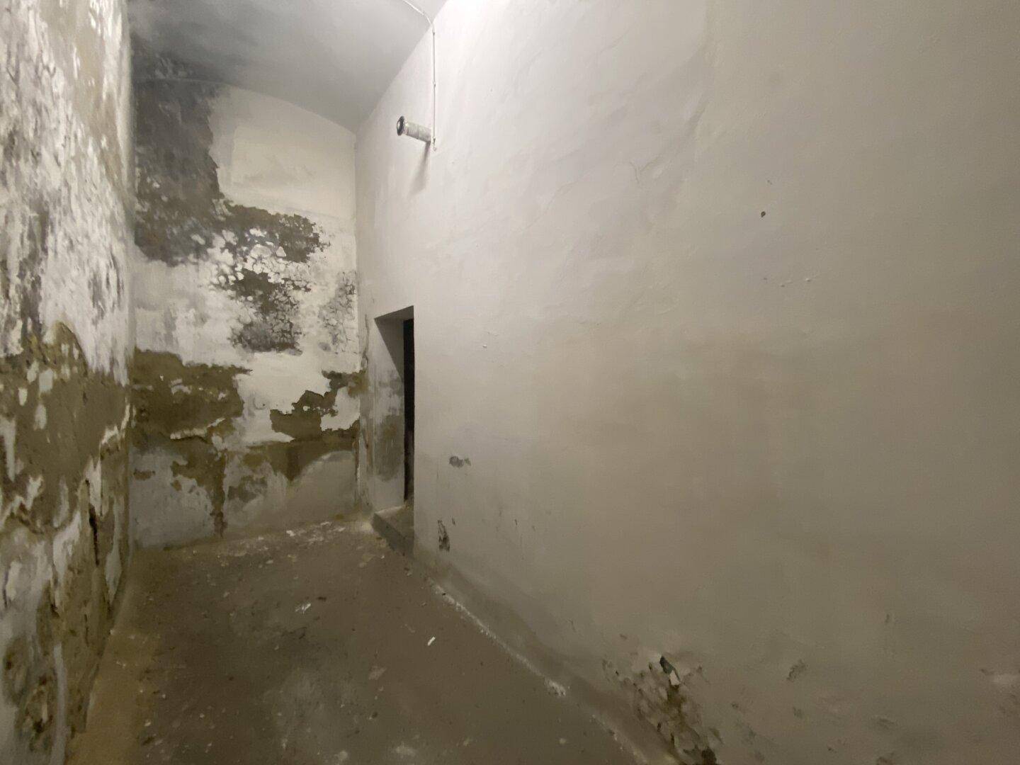 Langer Kellerraum mit rauen Wänden, Betonboden und einem kleinen Durchbruch in der Wand.