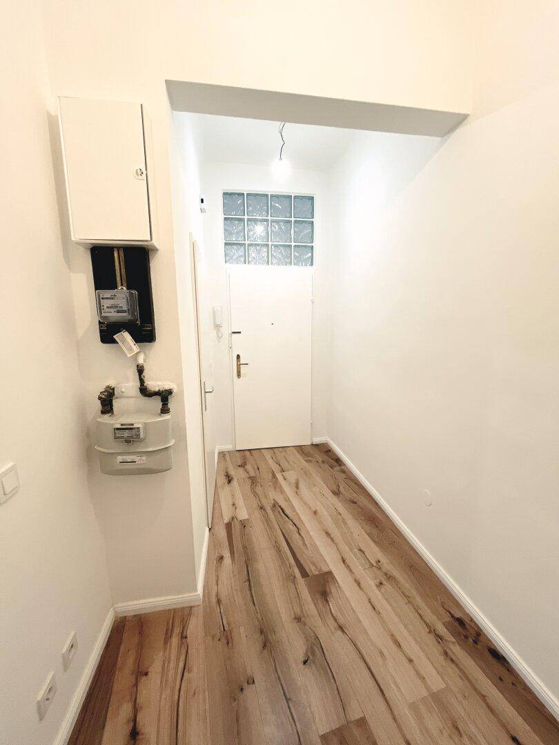 Eingangsbereich mit Holzboden, Zählerkasten und einer Tür mit Glasbaustein-Oberlicht.